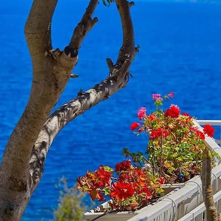 Casa Mama Private Access To Sea Vakantiehuis *